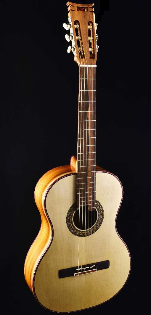 Bild 4: Das fertige Meisterwerk ist bereit fr das Konzert. Foto: SCHNITZ Gitarren